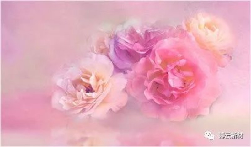 NG28-�����ɾͷǷ�,����Ʒ�Ƶ�����